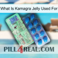 What Is Kamagra Jelly Used For new02